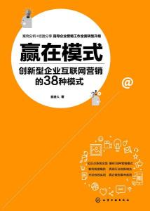 赢在模式 创新型企业互联网营销的38种模式